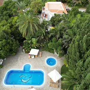 https://tijarafe-1.in-canary-islands.com